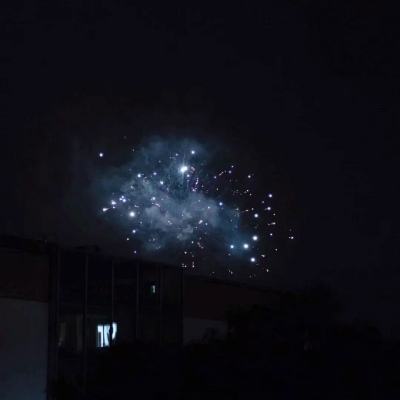 全民大冒险手游下载