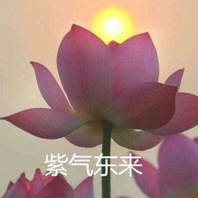 极限跳房子中文破解版下载
